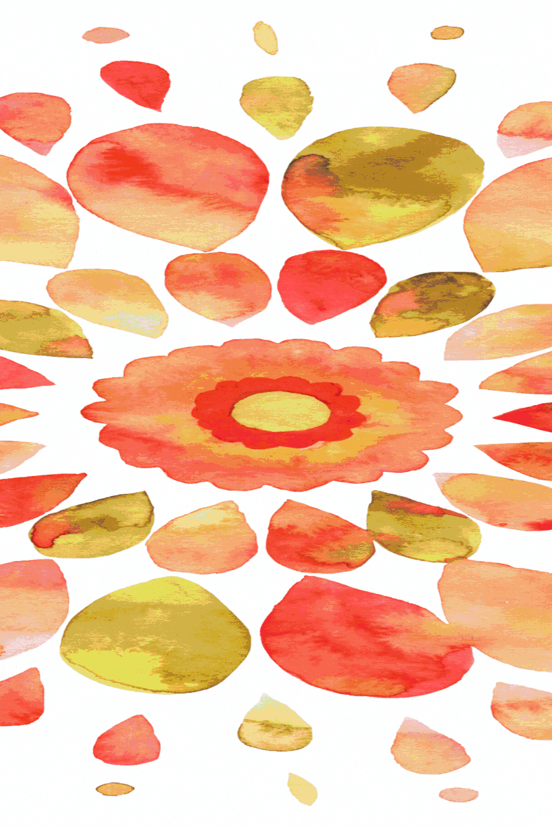 Colección banner carrusel (800 x 1200 px)