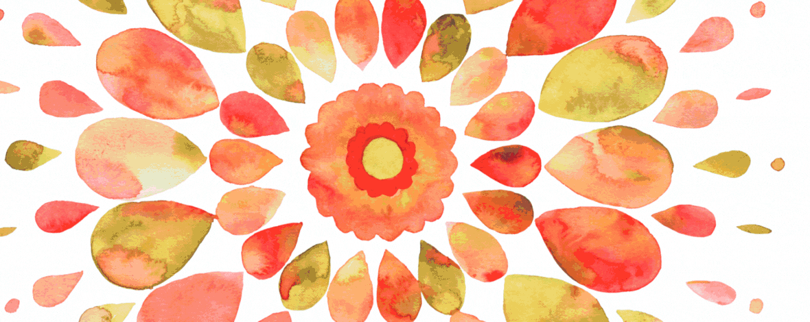 banner coleccionl